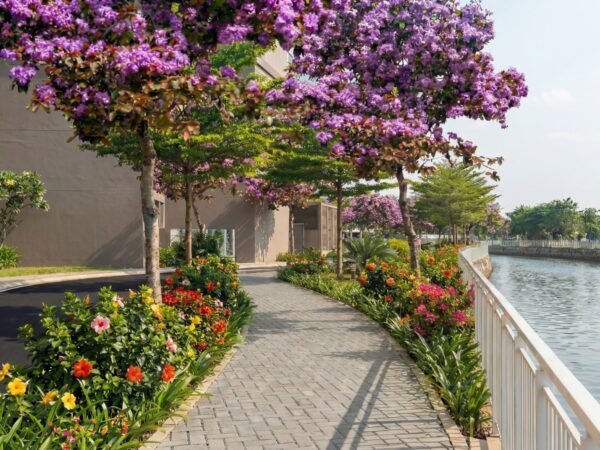 Chung Cư Mường Thanh Phú Hữu
